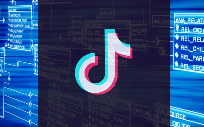 645c97cd33217.png 性價比高的印度尼西亞tiktok節點有何推薦?.png