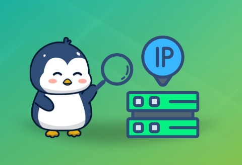 ubuntu ip怎么配置？.png